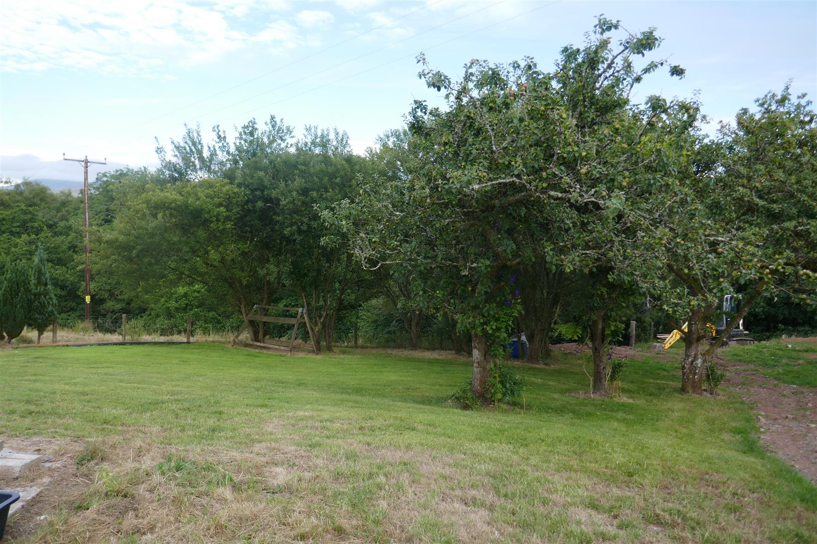 ORCHARD